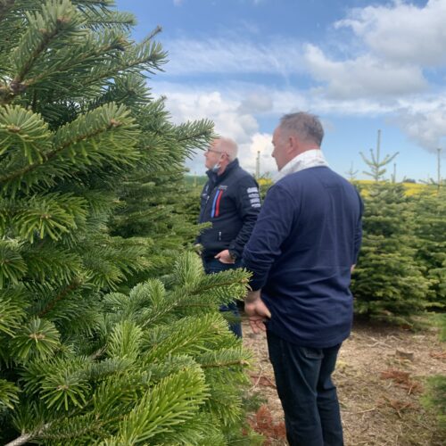 Mike Rudlington (front) inspects a field of Christmas trees with one of our suppliers Mike Rudlington (front) inspects a field of Christmas trees with one of our suppliers