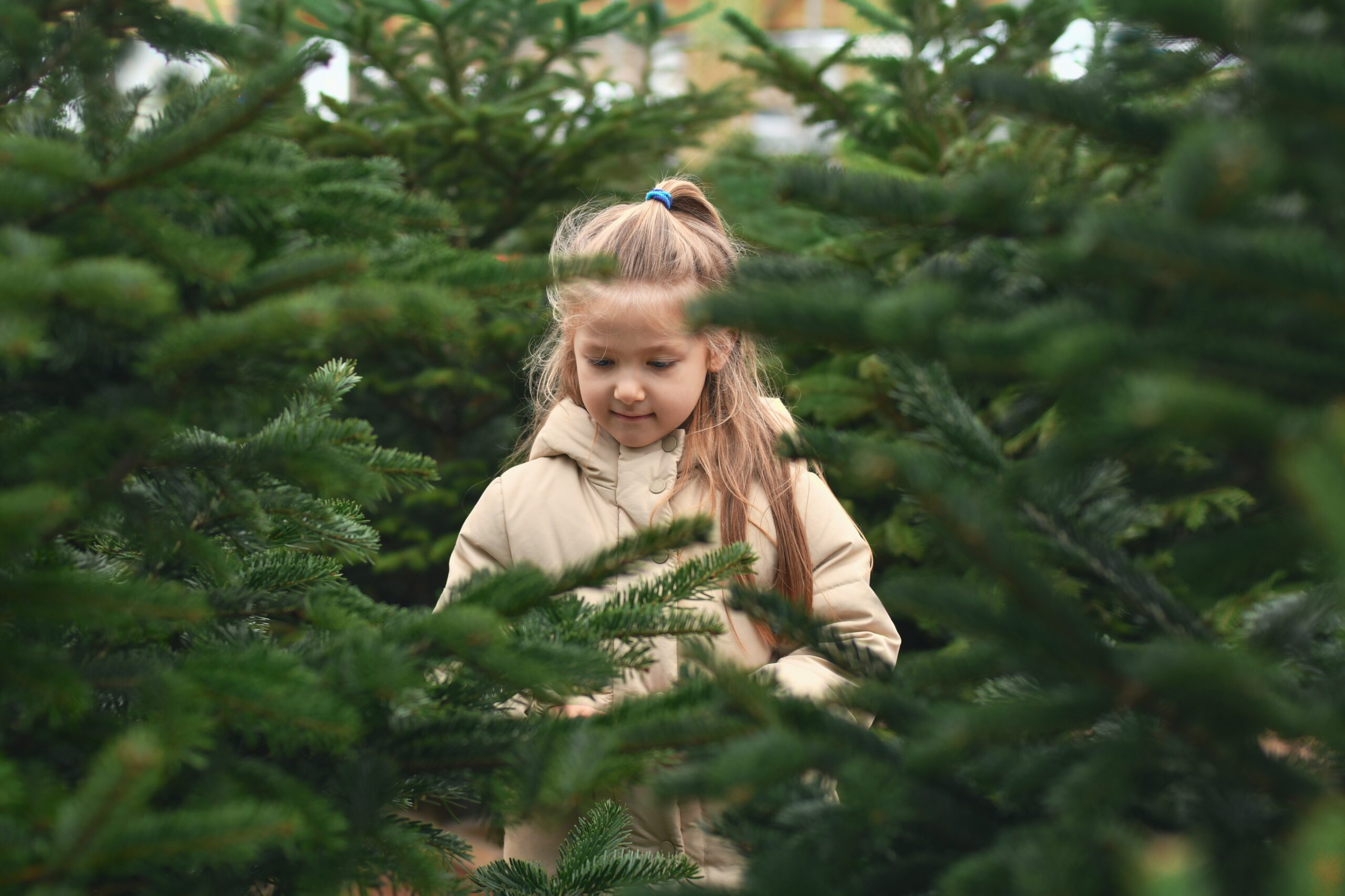 Children love shopping for Christmas trees