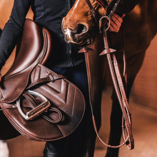 Caring for your horse at our DIY Livery Caring for your horse at our DIY Livery