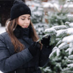 The ambience of real Christmas trees in the snow